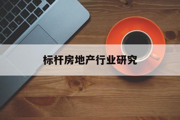 安阳市标杆房地产行业研究(房地产领域的标杆人物)