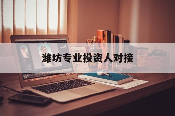 安阳市潍坊专业投资人对接(潍坊专业投资人对接中心)