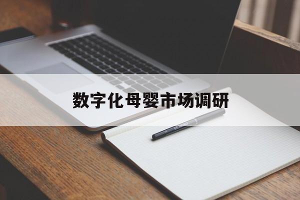 安阳市数字化母婴市场调研(数字化母婴市场调研报告)